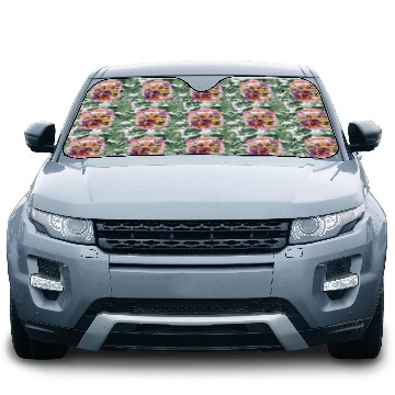 Discover Highland Cow Back to School Car Sun Shades