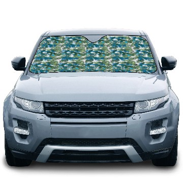 Discover Summer, Beach, Yoga Car Sun Shades