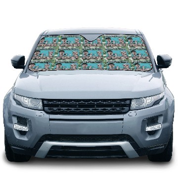 Discover Sleaford Mods Punk Rock Design Car Sun Shades