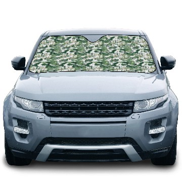 Discover Click Power Cyber Monday Shopping Force Car Sun Shades