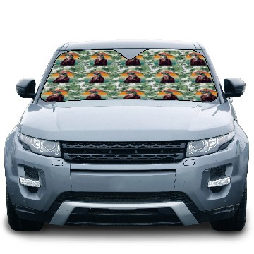 Discover 80s Vibes and Froggy Style Car Sun Shades