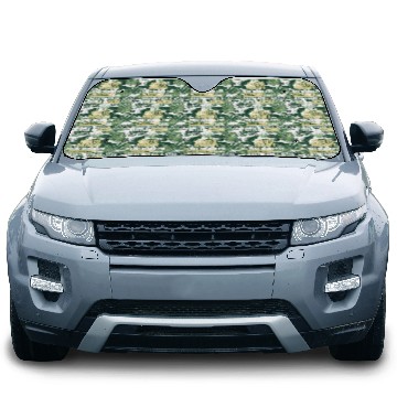 Discover Photo Model Creative Cool And Crazy Car Sun Shades