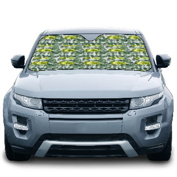 Discover Clock Luxury Swiss Old School Car Sun Shades