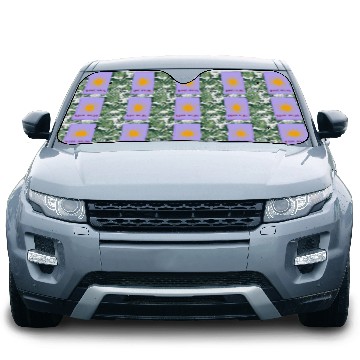 Discover The Sun, Aesthetic Tarot Cards Car Sun Shades