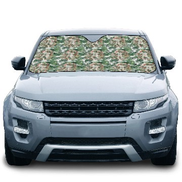 Discover Celebrate Pi Day with a Creative Graphic Car Sun Shades