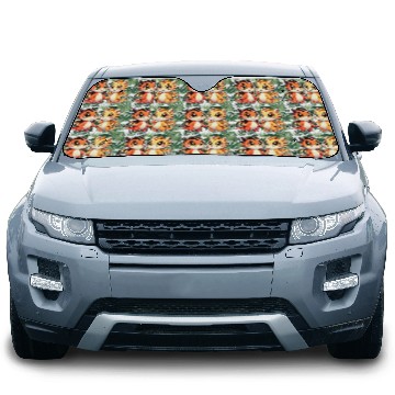 Discover Two Cute Dragon Friends Holding Hands Car Sun Shades