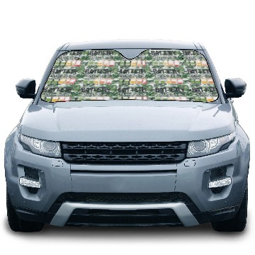 Discover Battery Of A Medical Assistant 3 Car Sun Shades