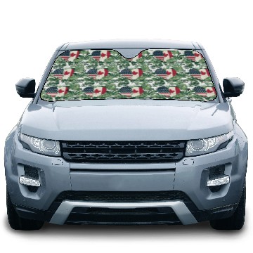 Discover Don't Let Politics Divide Us Car Sun Shades