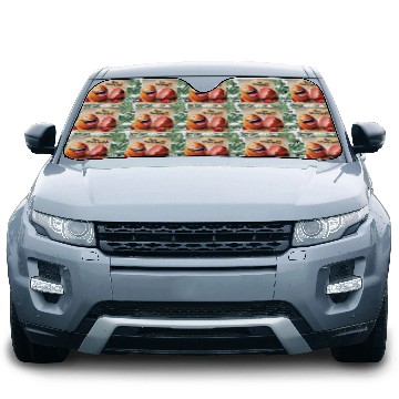 Discover A cracked Easter egg laughing with the caption Car Sun Shades