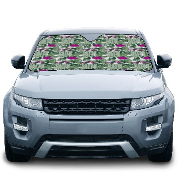 Discover Salty Car Sun Shades