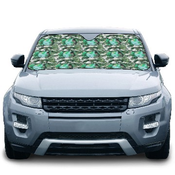 Discover Funny Earth Day Car Sun Shades – Go Destroy Mars Quote