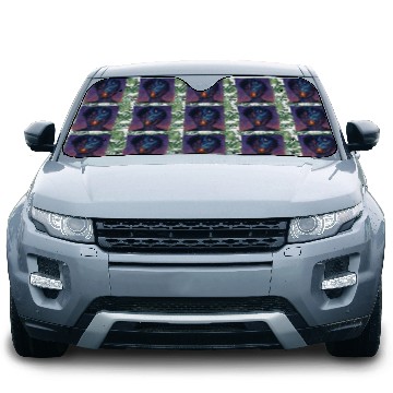 Discover Wilderness Within Car Sun Shades
