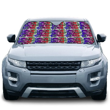 Discover 21st birthday Limited Edition 07/2004 Car Sun Shades