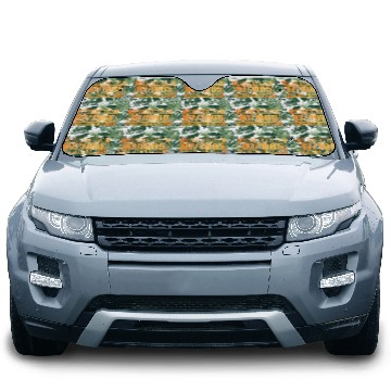 Discover 60th birthday Limited Edition - ꝏ Supply 07/1965 Car Sun Shades