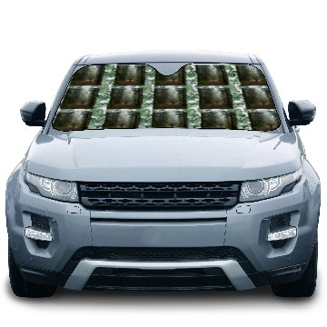 Discover Enchanted Forest Nature Scene Car Sun Shades