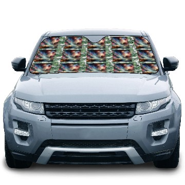 Discover Galactic Bridge to the Universe Space Dream Planet Car Sun Shades