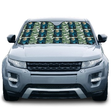 Discover Mystical Night Under the Full Moon Car Sun Shades