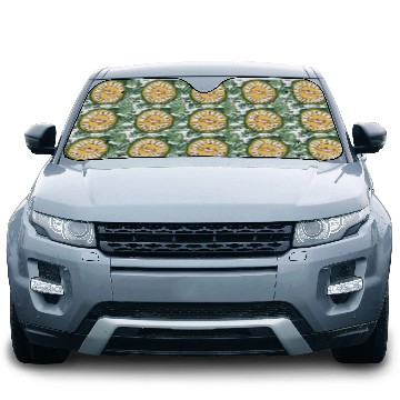 Discover Watermelon Half with Playful Smile Car Sun Shades