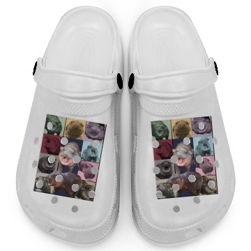 Discover Moo Deng Eras Tour, Moo Deng Clogs