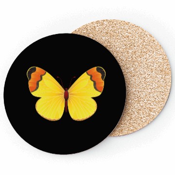 Discover Butterfly Coasters