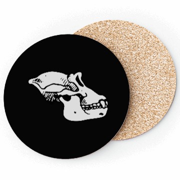 Discover ape skull Coasters