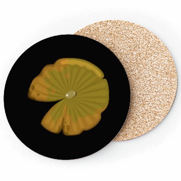 Discover Lotus leaf Coasters