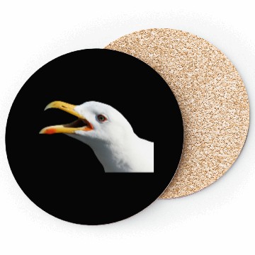 Discover seagull gull moewe1 Coasters