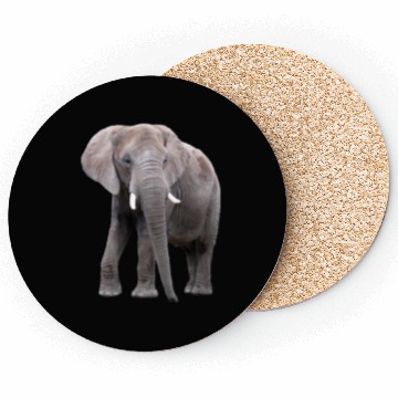 Discover Elephant Coasters