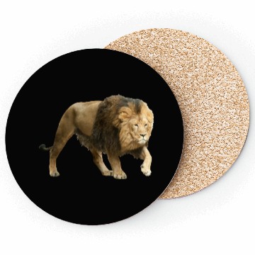 Discover Lion Coasters