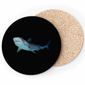 Discover Shark Coasters