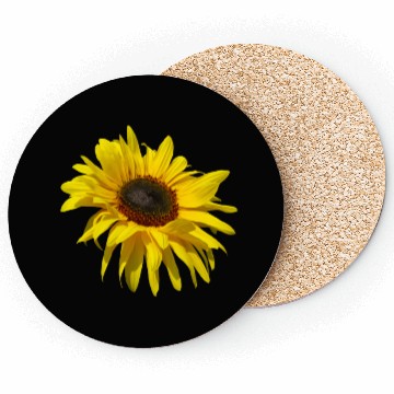 Discover blooming sunflower sunflowers blooms flowers petal Coasters