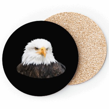 Discover Eagle Coasters