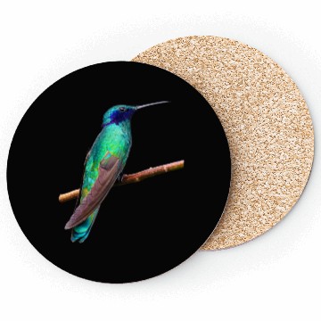 Discover Hummingbird Coasters