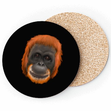 Discover Orang-Utan Monkey Ape Coasters