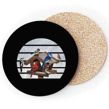 Discover Birds Bird House Cardinal Blue Jay Robin Sparrow Coasters