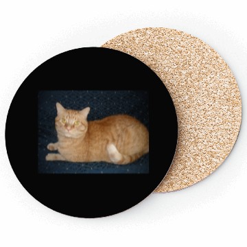 Discover Relaxed Orange Tabby Cat Illustration Coasters