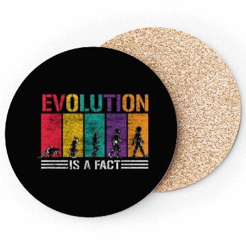 Discover Evolution Development Coasters