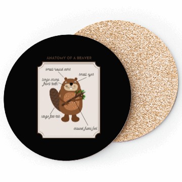 Discover Anatomy of a Beaver Coasters