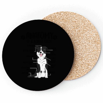 Discover Funny Anatomy Border Collie Dog Lover Coasters