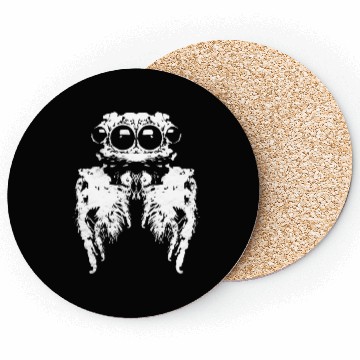 Discover Spider Eyes - White Coasters