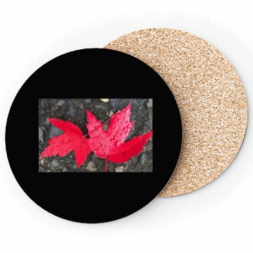 Discover Leaf it to Me Classic Coasters