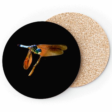 Discover Colorful dragonfly on a branch Coasters