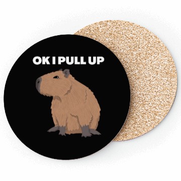 Discover Ok I Pull Up Capybara Funny Meme Capybara Lover Coasters