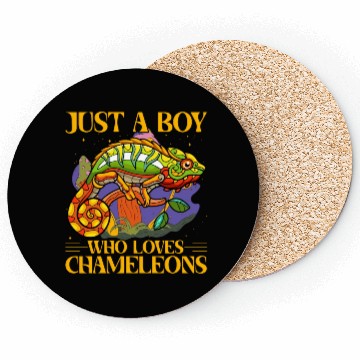 Discover Just a Boy who loves Chameleons Coasters