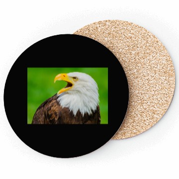 Discover Close-up Profile of a Bald Eagle Screeching Coasters