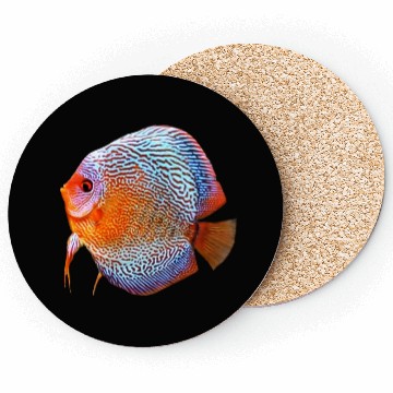 Discover DISCUS FISH - Snakeskin, orange/blue Coasters