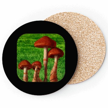 Discover Natural mushroom Coasters