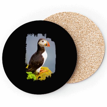Discover Atlantic Puffin Coasters
