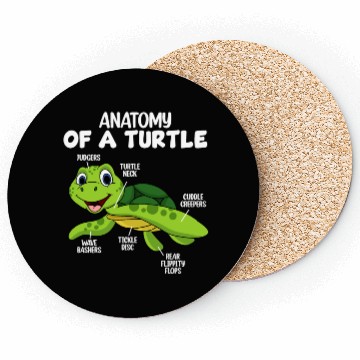 Discover Anatomy Of A Turtle Coasters