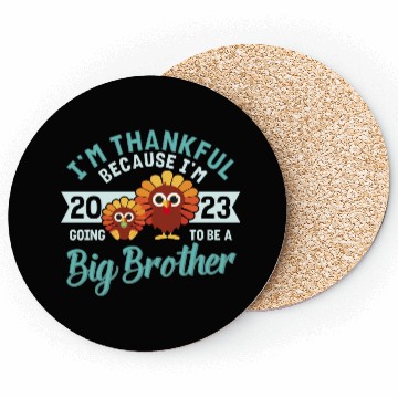 Discover Big Brother 2023 Baby Thanksgiving Turkey Boys Coasters